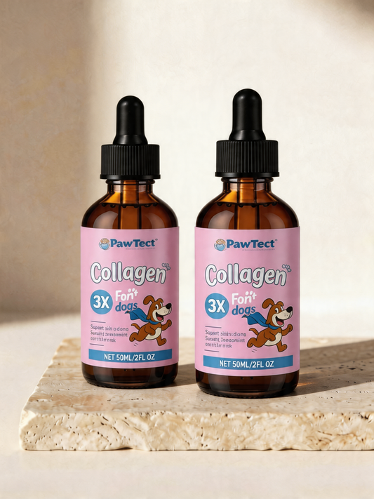 PawTect™ | Premium Liquid Collagen for Dogs